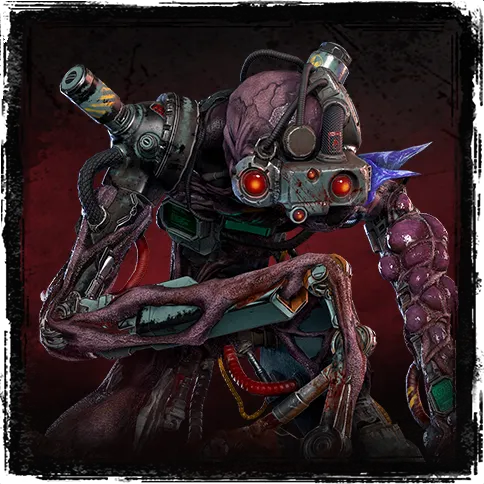 The Singularity Image